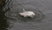 1 IMG_5182oř.jpg