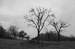 DSC_0006cb.jpg