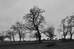 DSC_0009cbor.jpg
