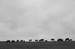 DSC_0010cbor.jpg