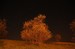 DSC_0027.jpg