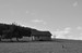 DSC_0144čb.jpg