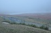 DSC_0250.jpg