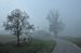 DSC_0261.jpg