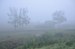 DSC_0270.jpg