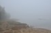 DSC_0279.jpg