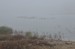 DSC_0280oř.jpg