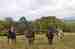 DSC_8444 web.JPG