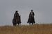 DSC_8462 web.jpg