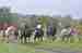DSC_8484 web.jpg