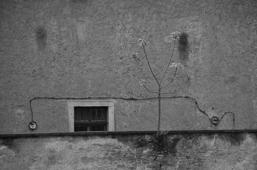 Bratislava