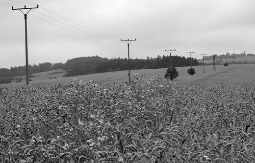energie