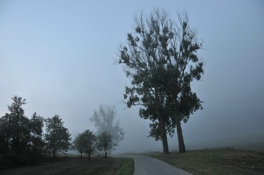Pozlovská přehrada v mlze