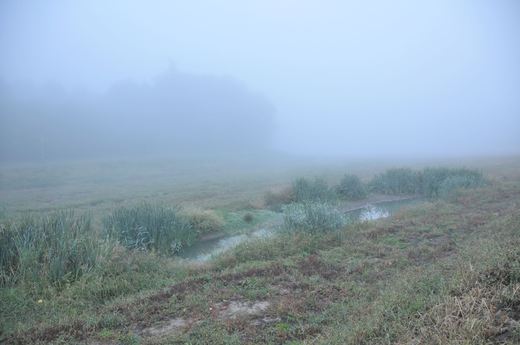 Pozlovská přehrada v mlze