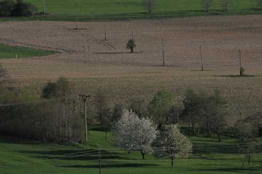 jarní