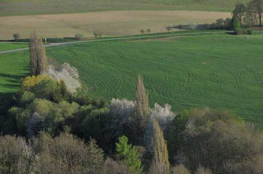 jarní