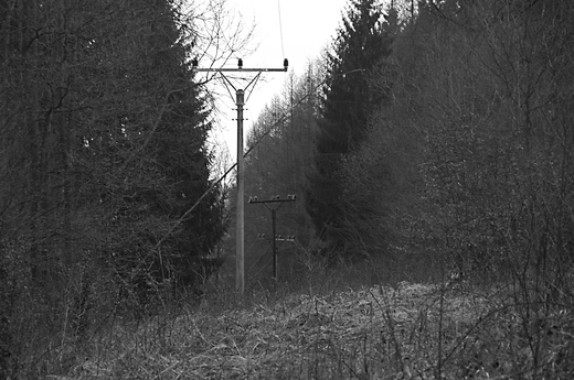 energie